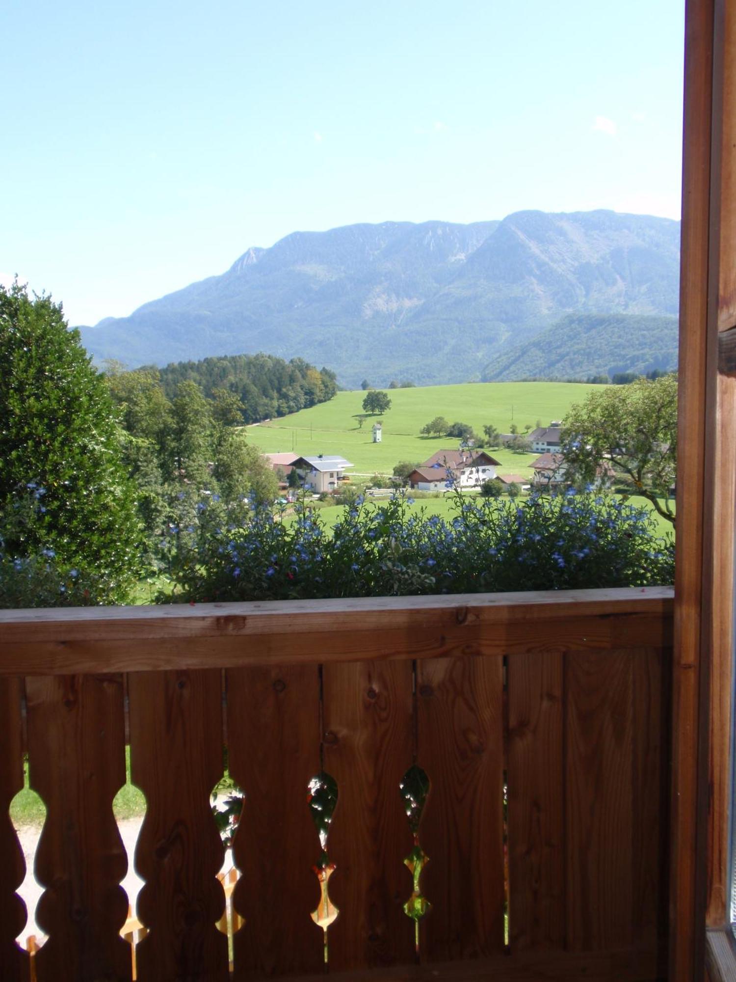 Farm stay Paulbauer