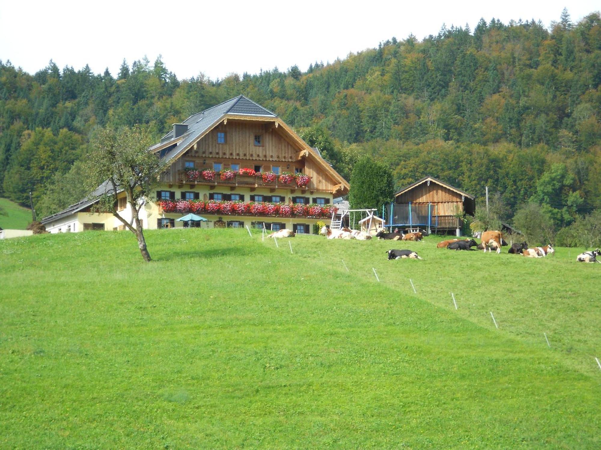 Paulbauer Farm stay *