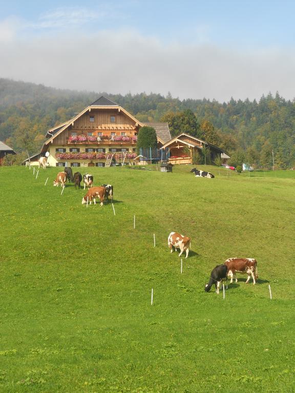 Paulbauer Farm stay *