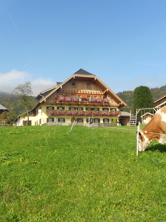 Farm stay Paulbauer
